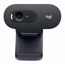 Logitech C505 E