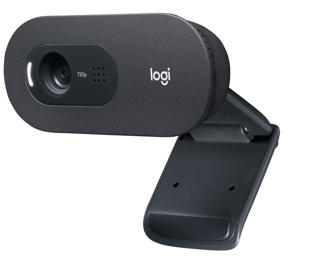 Logitech C505 E