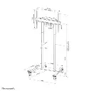 Neomounts FL55-875WH1