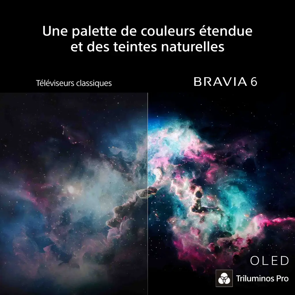 Sony - Bravia 6