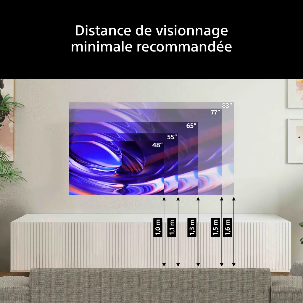 Sony - Bravia 6