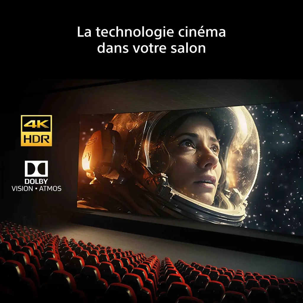 Sony - Bravia 6
