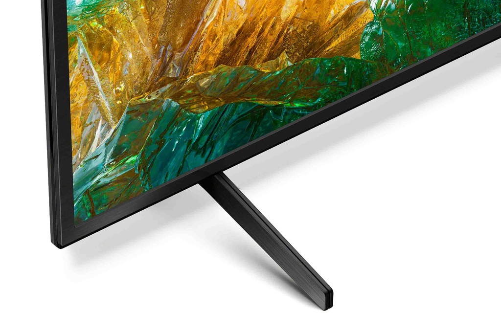 Sony FWD-55X80H/T1