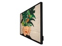 Philips Public Display D-Line 32BDL4550D/00