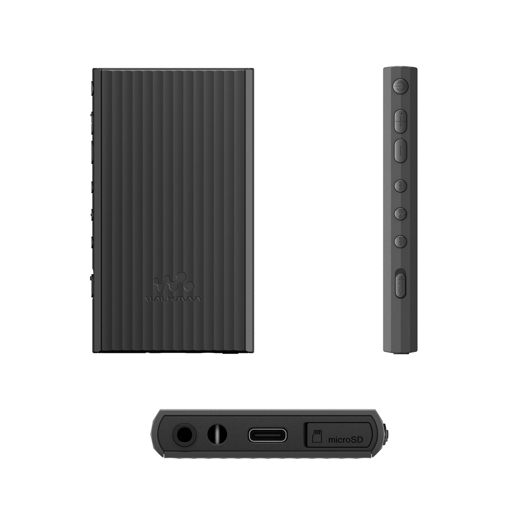 Sony NW-A306 Noir