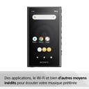Sony NW-A306 Noir