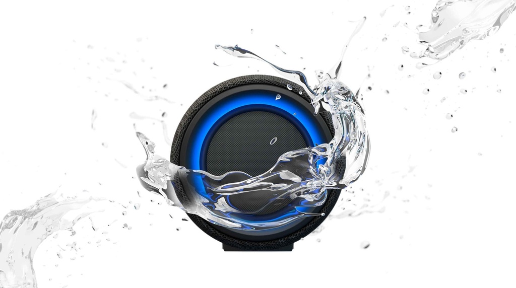 Sony SRS-XG300 Gris