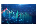 Philips Videowall Display 65BDL6005X/00
