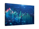 Philips Videowall Display 65BDL6005X/00