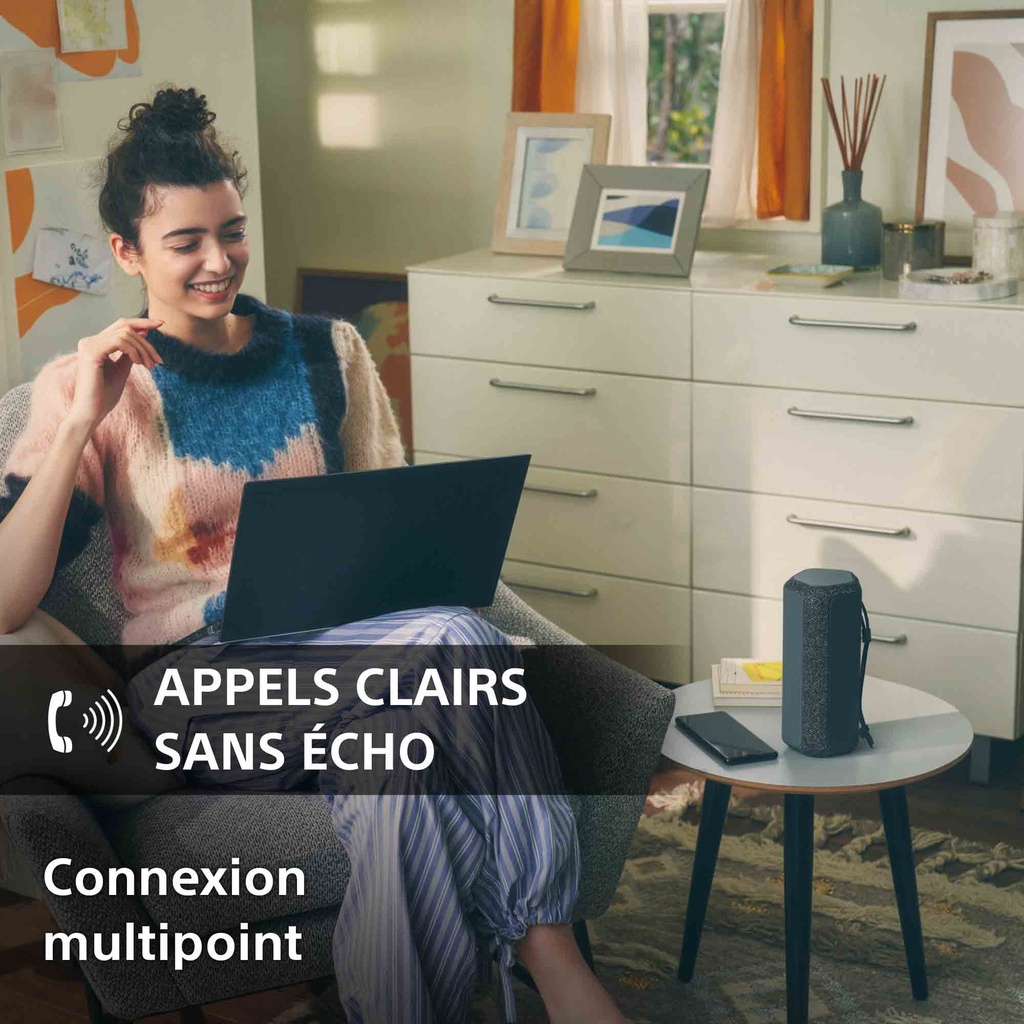 Sony SRS-XE200 Gris clair