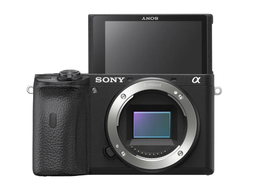 Sony Alpha 6600 Body