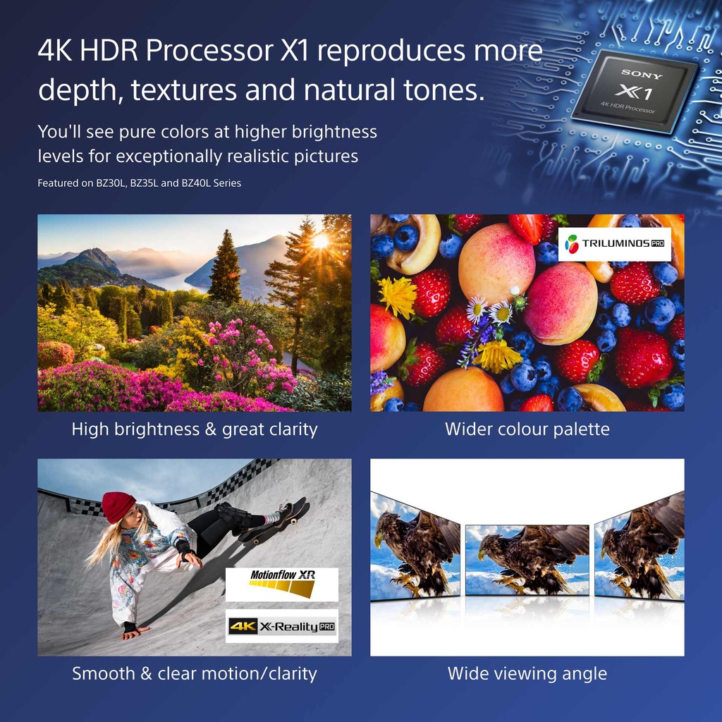 Sony FW-65BZ30L 2023