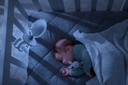 Geemarc AMPLICALL SENTINEL - Bébé vidéo alerteur avec coussin vibrant