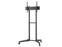 NewStar FL50-540BL1 - Support mobile écran 37-70" - max 50 kg