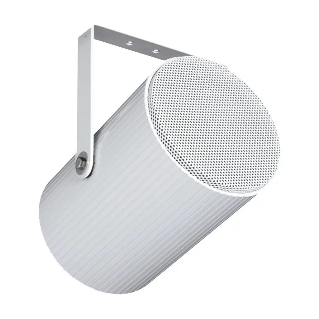 Audac SP22 - Projecteur de son passif unidirectionnel renforcé