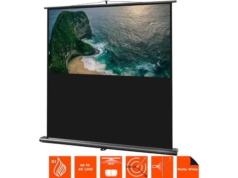 Celexon Écran mural mobile Ultramobil Pro 200 x 122cm 16:10