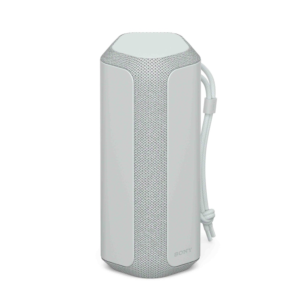 Sony SRS-XE200 Gris clair