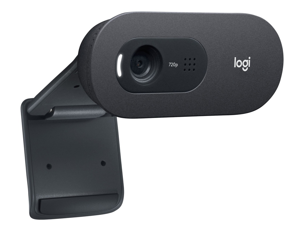Logitech C505 E - Webcam