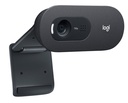 Logitech C505 E - Webcam