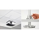 Chief SYSAUW - Kit projecteur de plafond suspendu