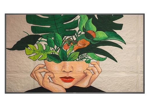 [55BDL4511D/00] Philips 55BDL4511D/00 - Écran 55", 500 cd/m², 24/7