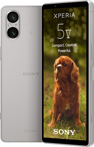 [XQDE54C0S.EUK] Sony Xperia 5 V 128 Go, Argent, 6.10", Double SIM, 48 Mpx, 5G