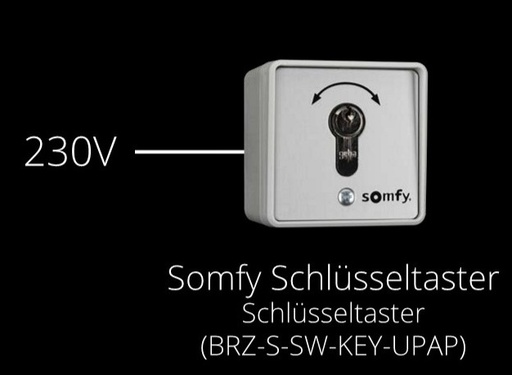 [BRZ-S-SW-KEY-UPAP] AV Stumpfl - Somfy Key Switch